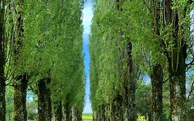 L’allée des peupliers